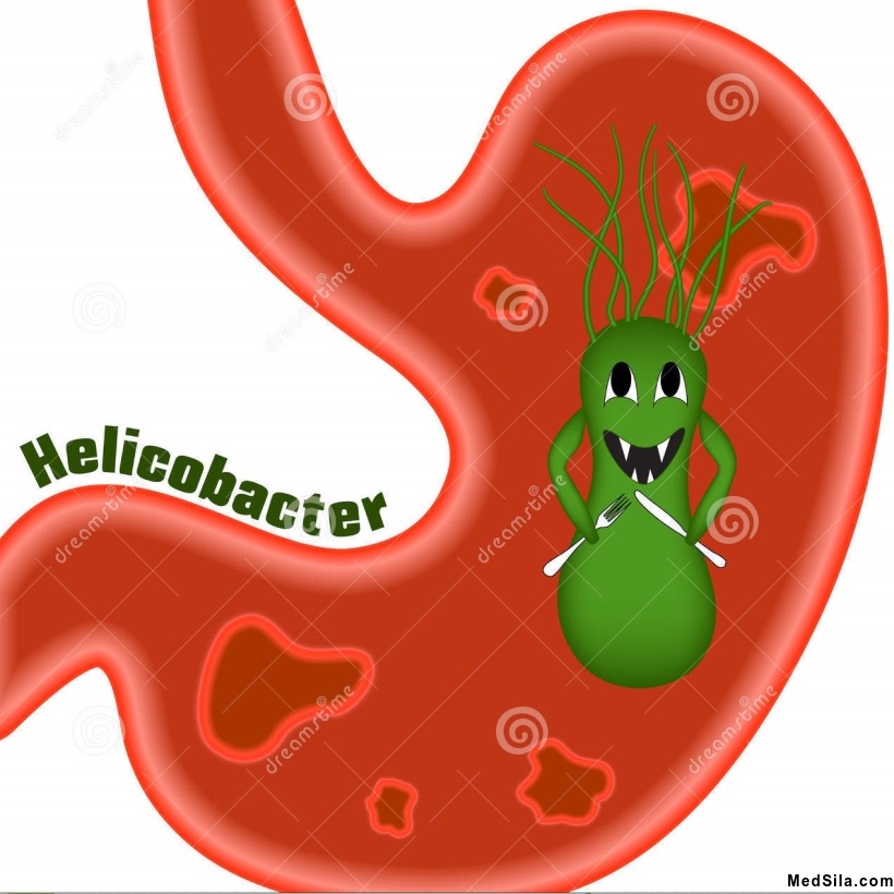 Helicobacter